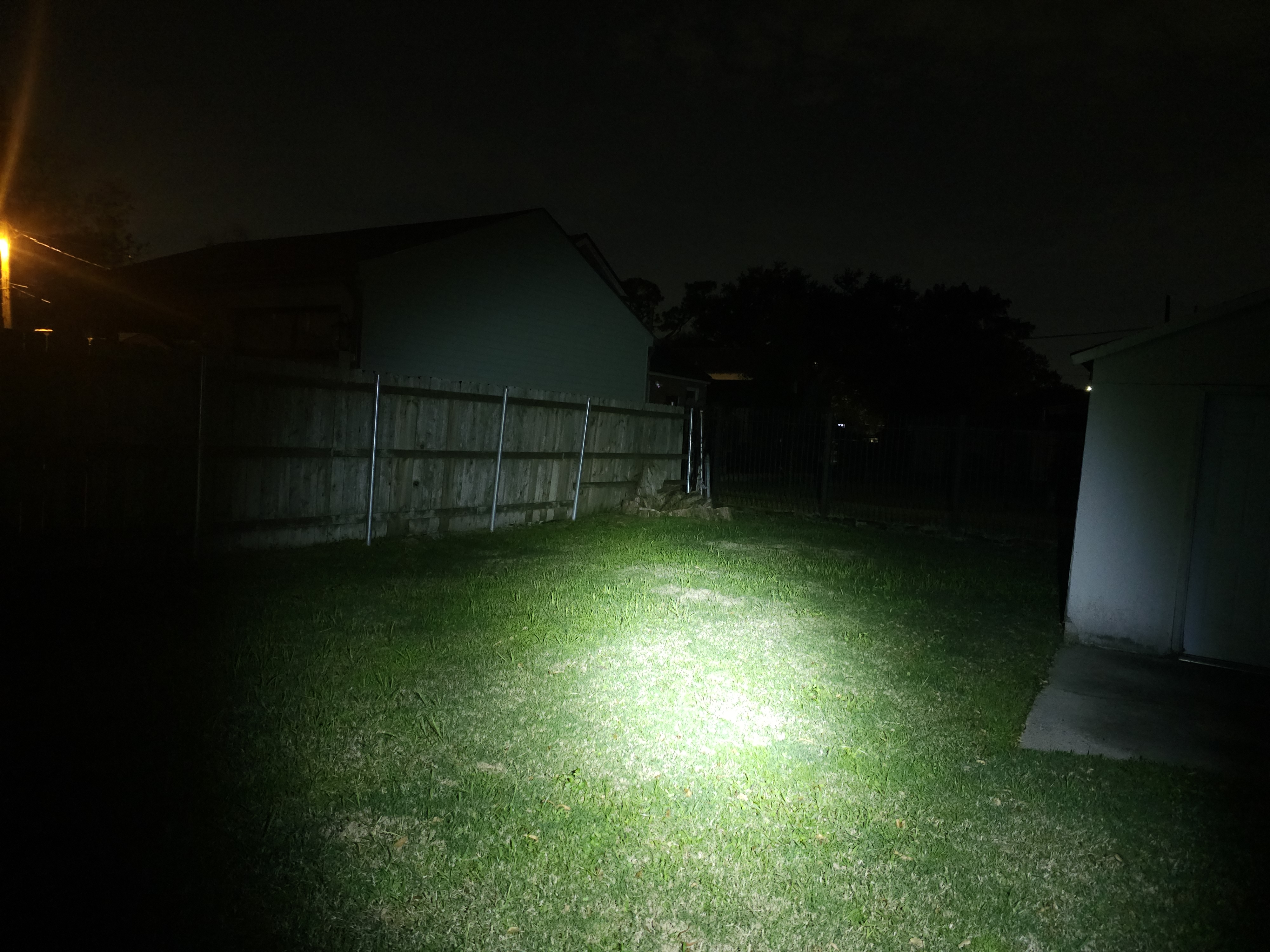 Sunwayman V11R Revolution review | Wolfgirl Reviews